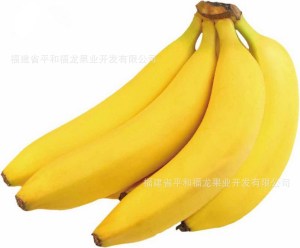 【香蕉产地】香蕉产地价格\/图片_香蕉产地批发