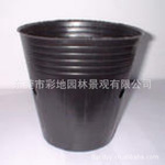 专业供应育苗营养袋/植树袋/定跟器/营养杯 保证质量(图)