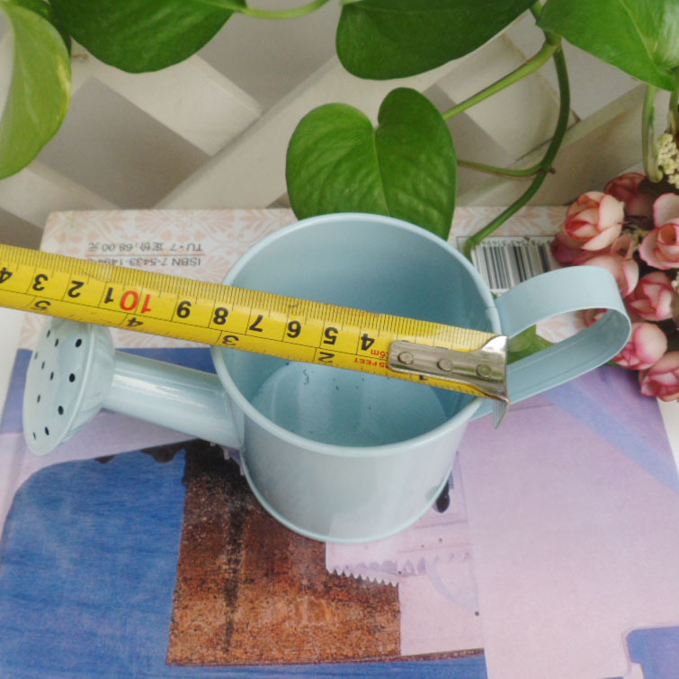 【批发迷你铁艺小花盆 (粉蓝色)80#纯色花洒】