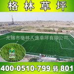 宁夏G024PE足球场运动休闲草坪【厂家直销】