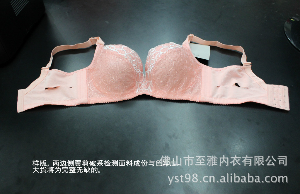 至雅品牌内衣<em>加工</em> <em>文胸贴牌</em>OEM<em>代加工</em> 高端聚