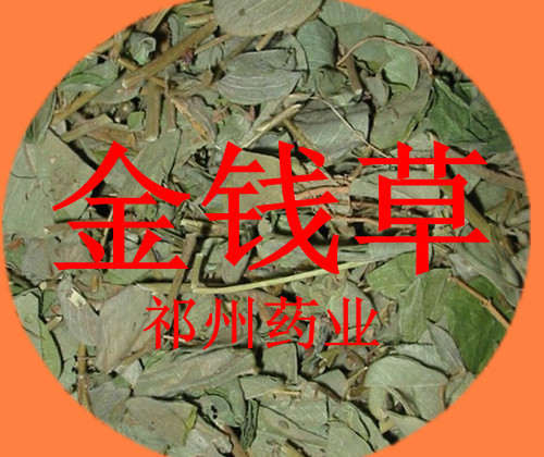 批發中藥材,中藥飲片,白果,銀杏果