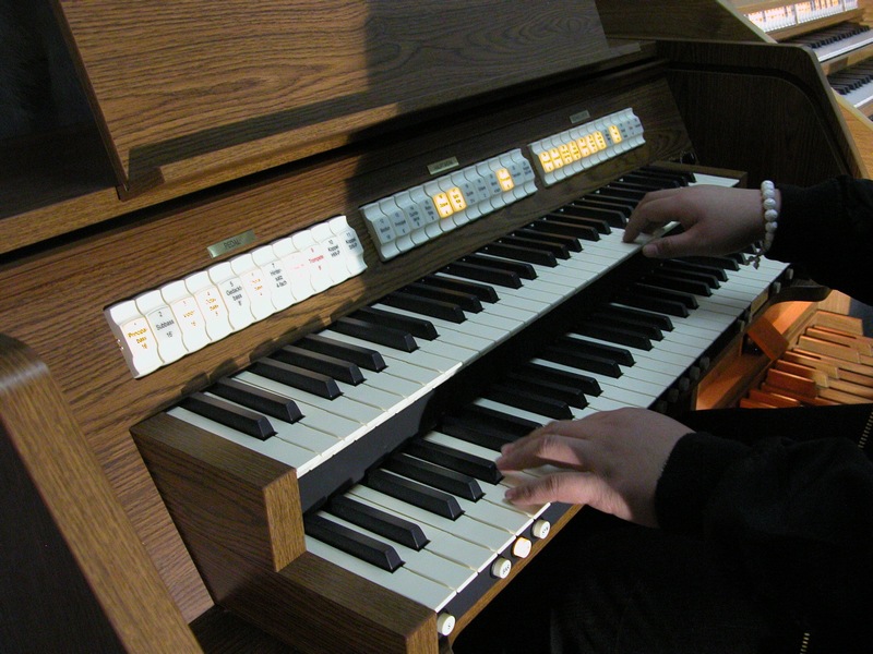 键盘类乐器-德国乐博双排键电子管风琴(海顿 h