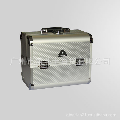 D2629 (silver