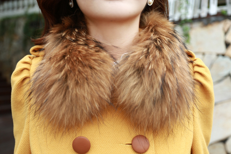 一件代发,韩版时尚女士秋装外套修身毛领毛呢