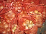 ���ڹ�Ӧ 2011 ���ʻ�ƤԲ��
