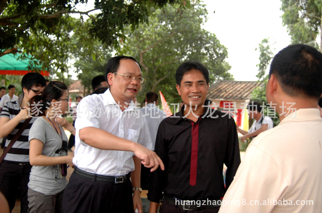 优质红心火龙果基地在湛江遂溪_huangzhaopi