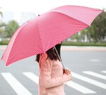 8338 大牌小物 韩版中波点 迷你铅笔伞折叠太阳伞 批发晴雨两用伞