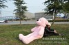 韓國戀人粉紅色 林嘉欣大抱熊泰迪熊 佈娃娃 毛絨玩具