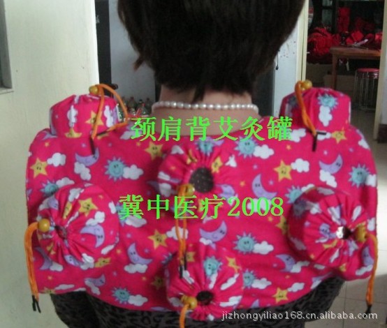 PICer2012731109