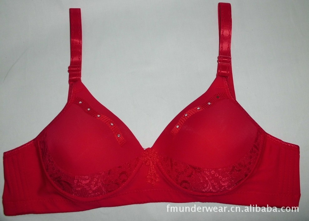 <em>义乌文胸工厂</em>外贸直销:欧款绣花烫钻锦纶文胸