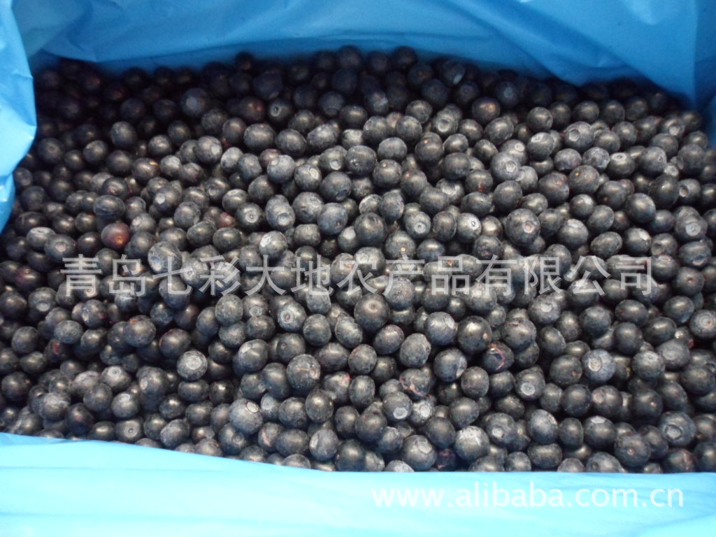 其他生鲜水果-智利进口A级冷冻蓝莓(种植速冻