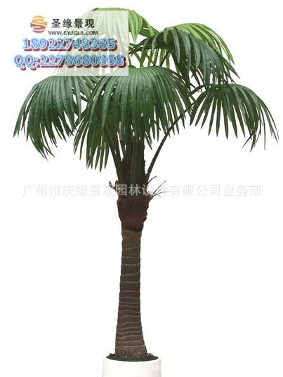 庆缘景观 仿真蒲葵树