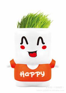 其他益智玩具-新奇特DIY青草<em>种植</em> <em>会长头发</em>的