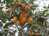 ������������רҵ�����繩Ӧ����������������ˮ��