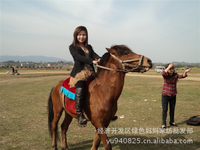 138、【爱的自白】单枪匹马来招亲,谁愿与我策