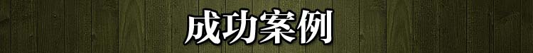 成功案例