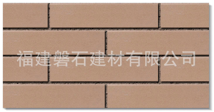 外墙砖-专业供应平面防滑通体砖 质优价廉 彩砖