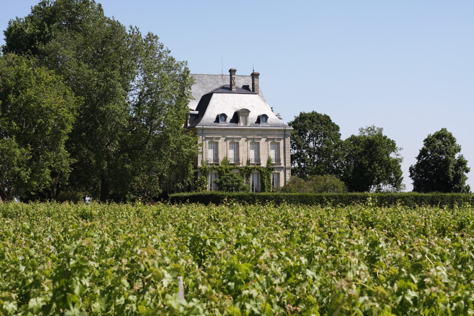 Bordeaux - Left Bank (Medoc) (