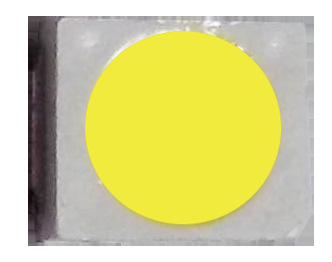 2835-1