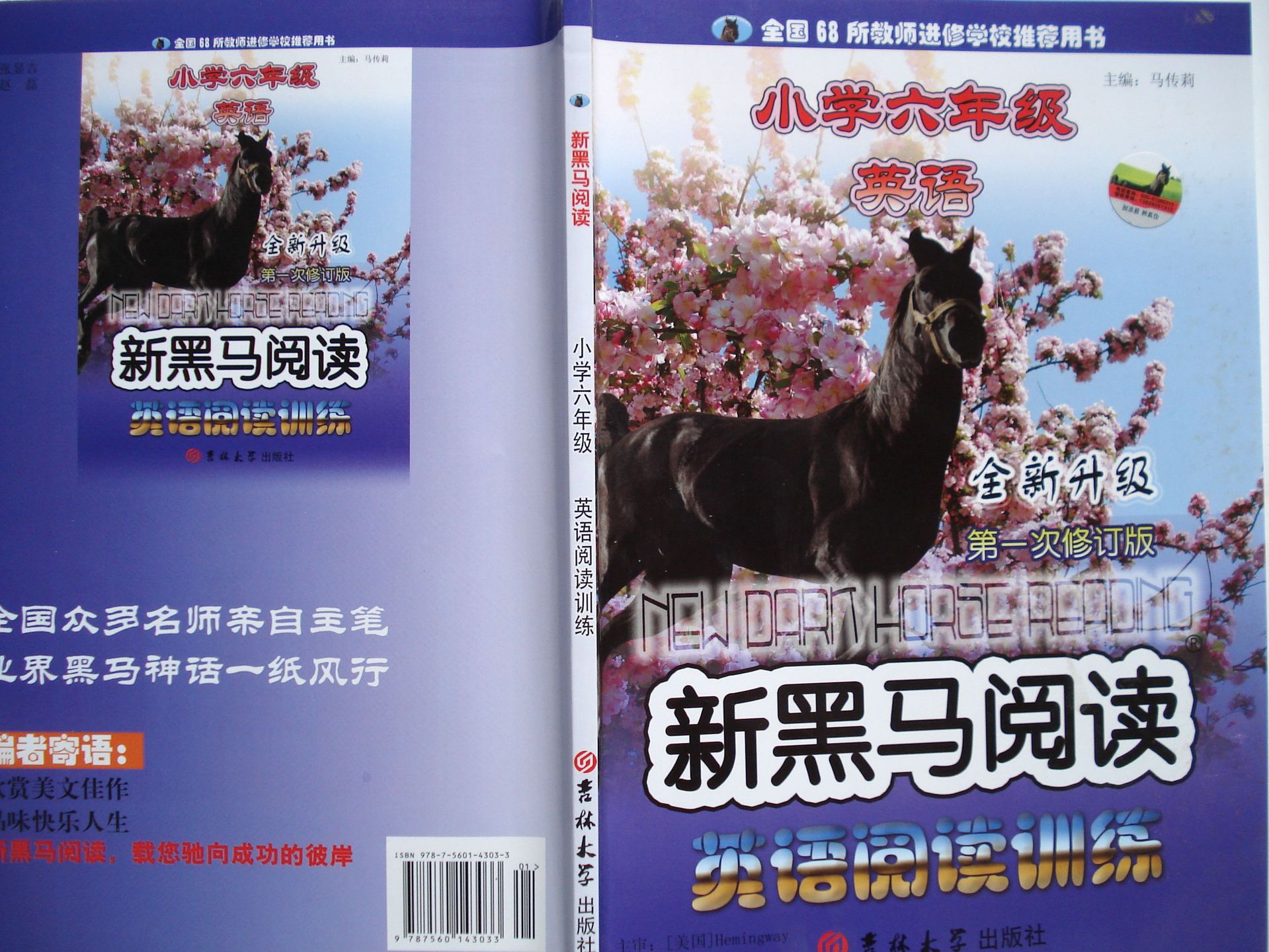批发新黑马阅读6年级英语阅读训练新课标含练