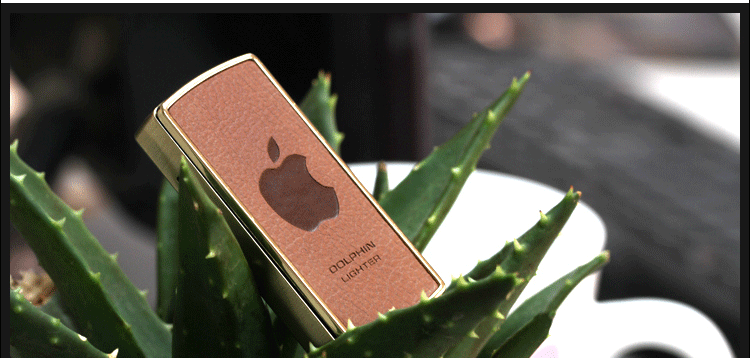 T2L_J4XeFcXXXXXXXX_!!466855088