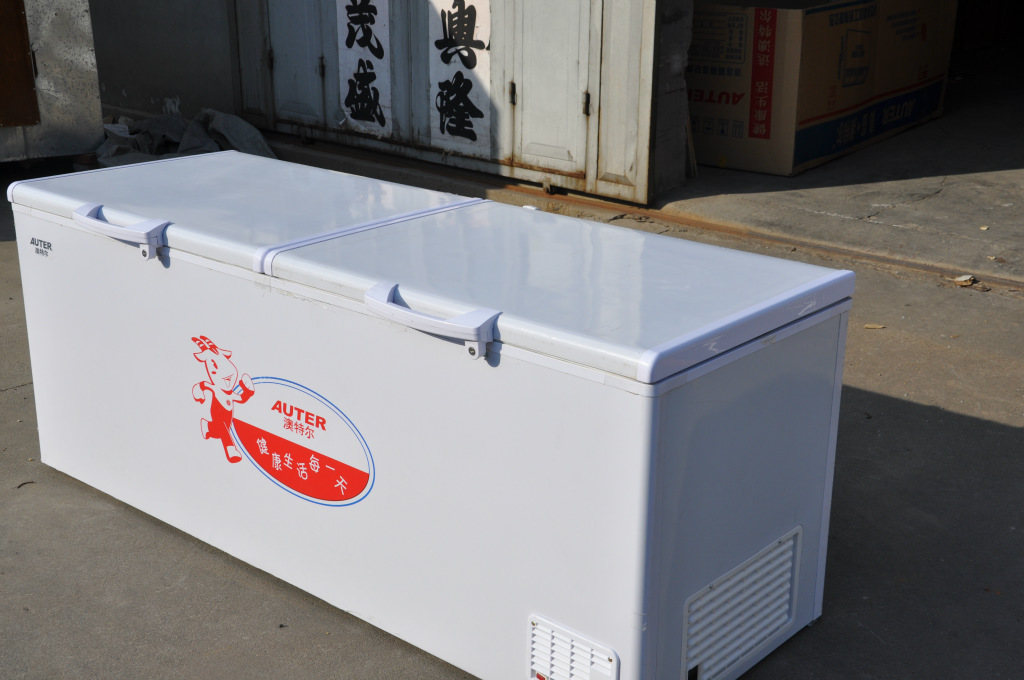 保鲜冷藏设备-[加宽加长]瑞晶雪超大冷柜 大容