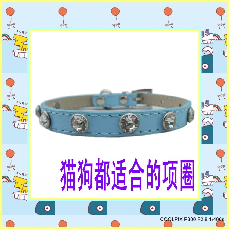 DSCN0781_conew