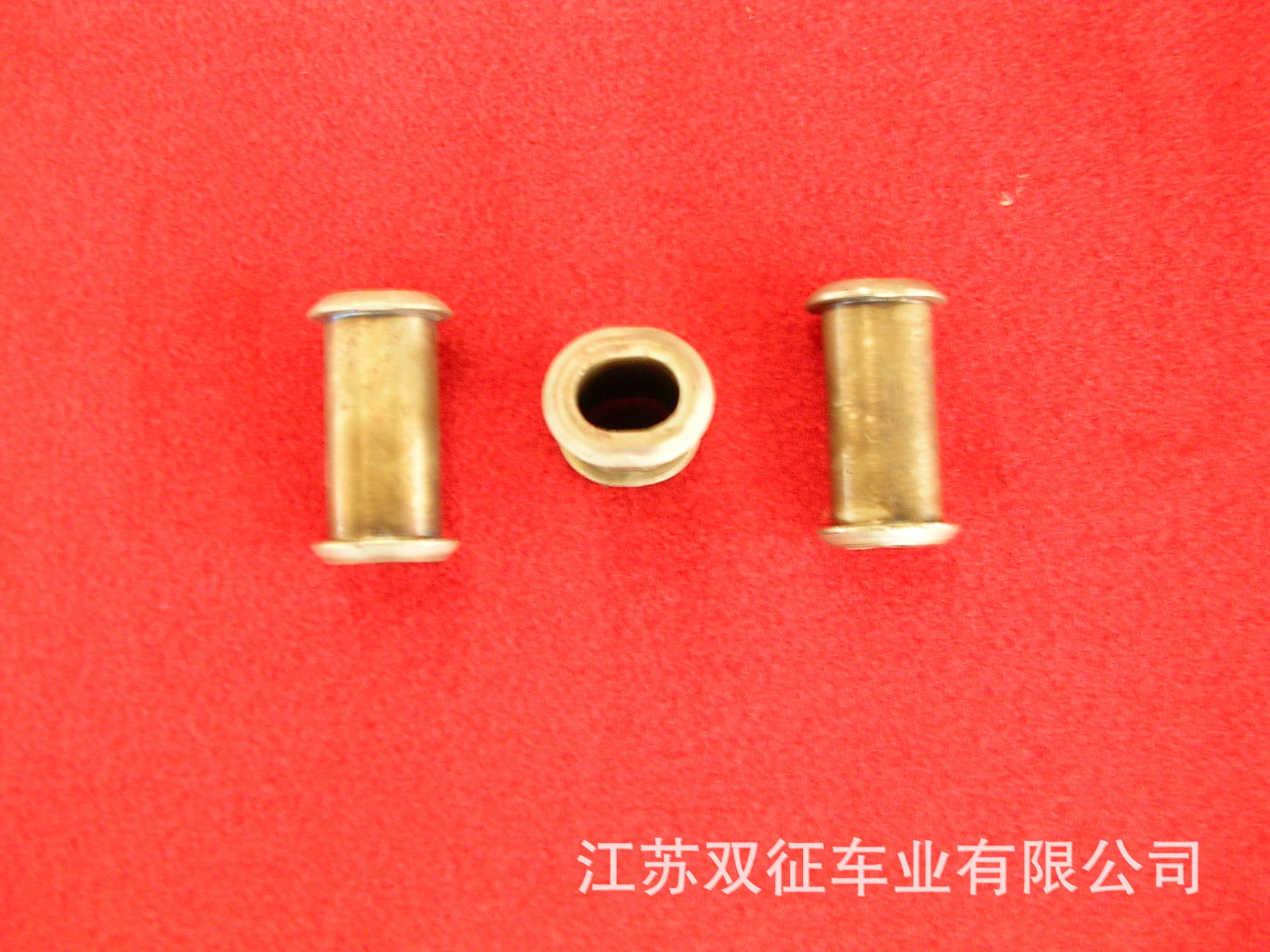 DSCN6374