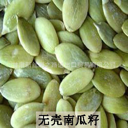 优质供应 南瓜籽订单产销 引进绿色食品 - 优质