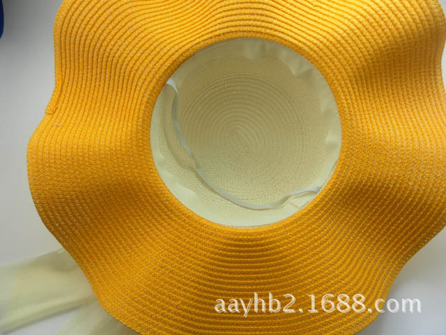 外销内销新款草帽上市