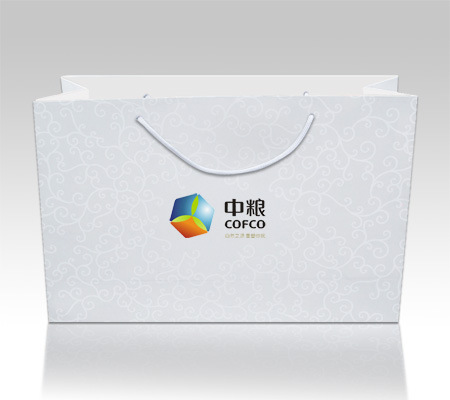 【上海企业公司手提袋 专业定制包袋 服装纸袋