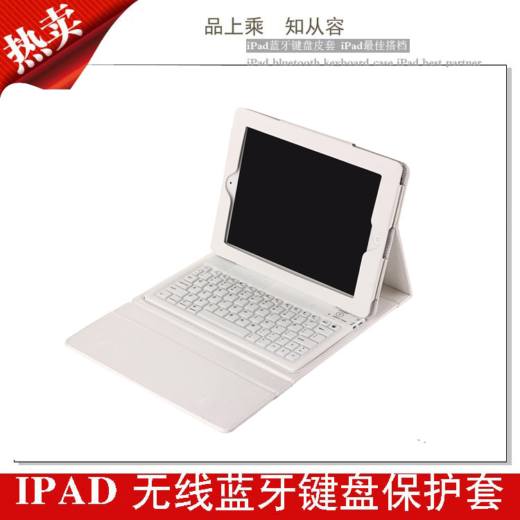 白29