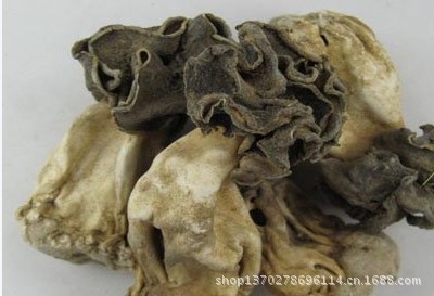 巴楚菇-野生巴楚菇--阿里巴巴采购平台求购产品详情