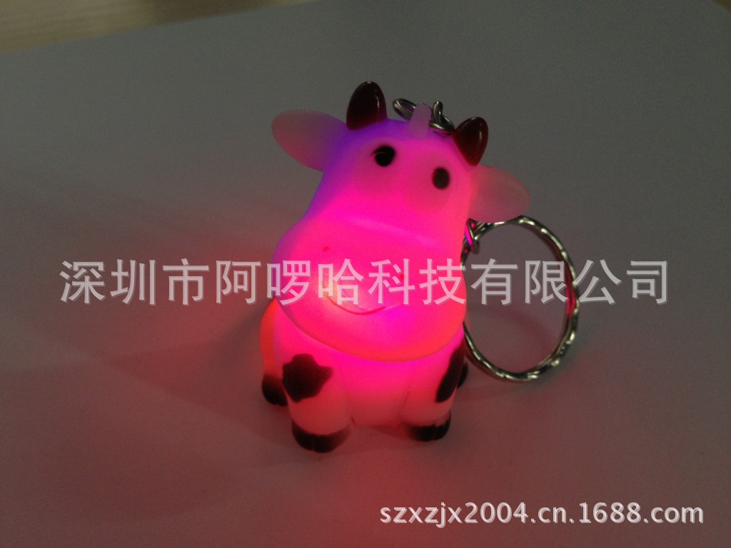 conew_130625 (374)