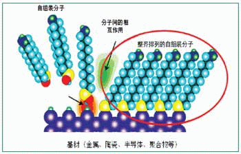 自组装单分子膜