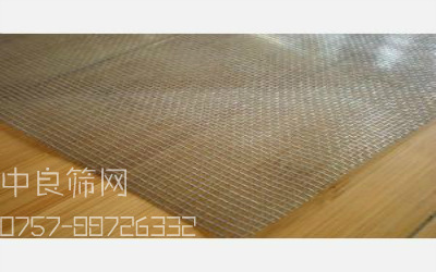 u=382479155,4185161589&fm=23&g