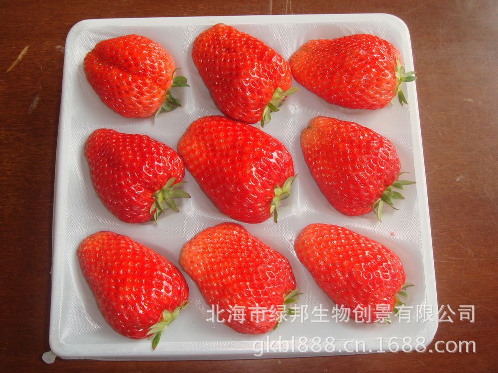供应各种花卉盆栽园艺种子<em>绿化苗木</em>果树-<em>图片</em>
