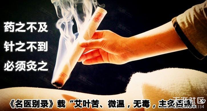 【赵氏雷火灸条 艾条 雷火灸艾条】价格,厂家,图