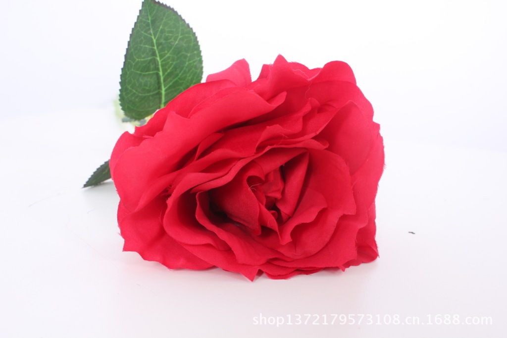 单枝大玫瑰9(Single Rose)SJB1350