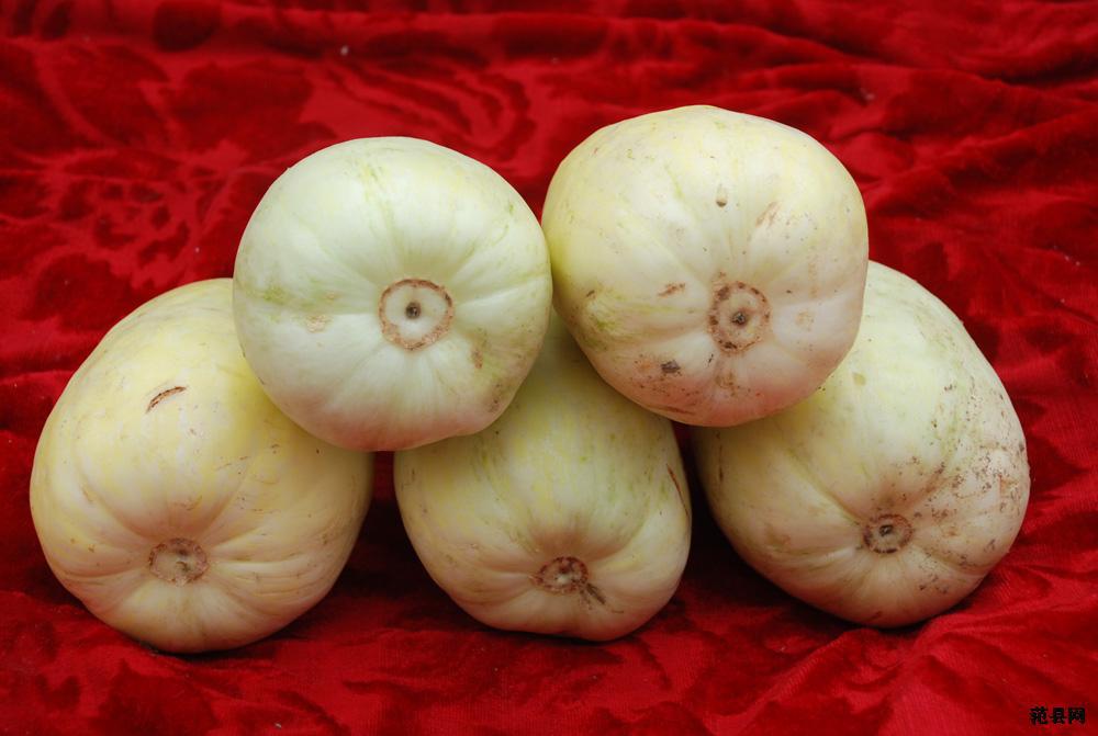 甜瓜-山东临沂亿穗合作社批发香瓜 陕甜一号甜