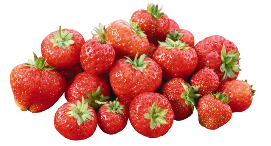 农场供应新鲜草莓 香甜有机草莓