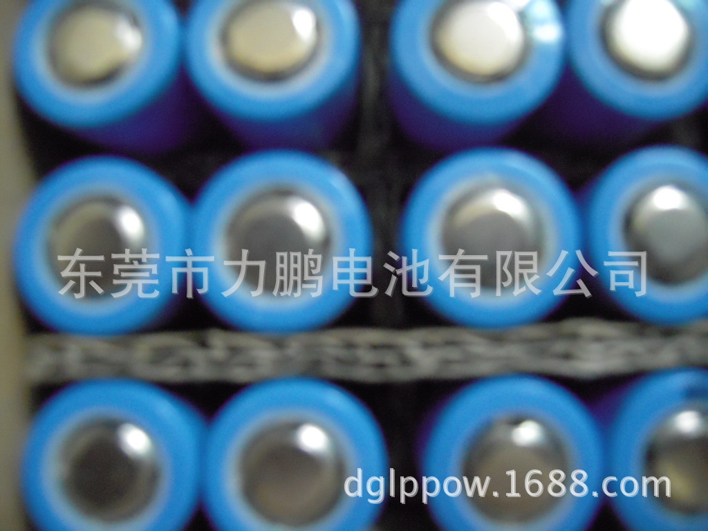 照片 093