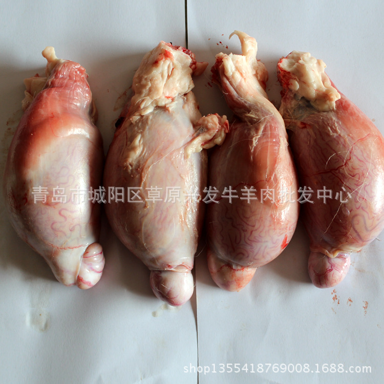 【内蒙古羊肉羊宝 男性滋补食品 壮阳大补【图