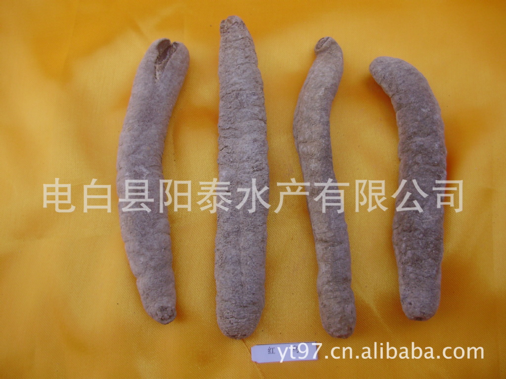 干制水产品-电白县阳泰水产有限公司 大量低价批发各种进口野生海参 品种齐全-干制