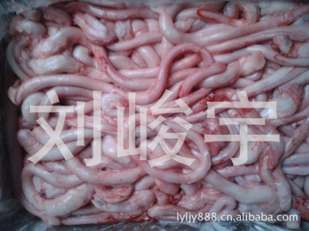 供应优质猪红肠 猪鞭