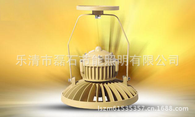 LSG95-70W (6)