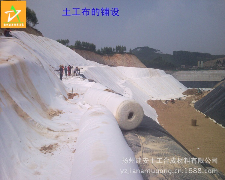 SNC00520副本_conew1