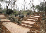 专业生产环保型木塑 木塑地板 防水地板 防腐木