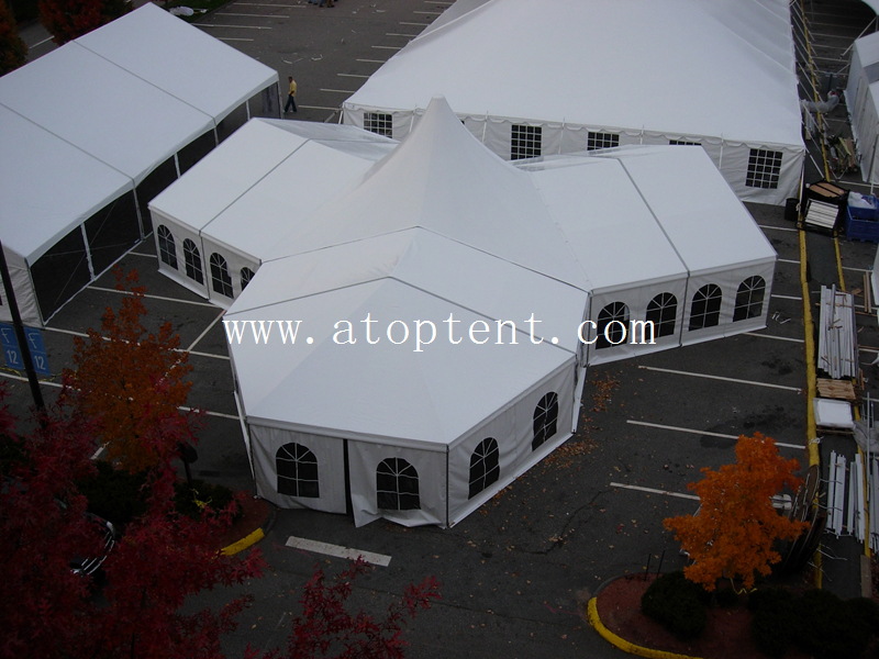 3783112077_1c256f4a5e_o